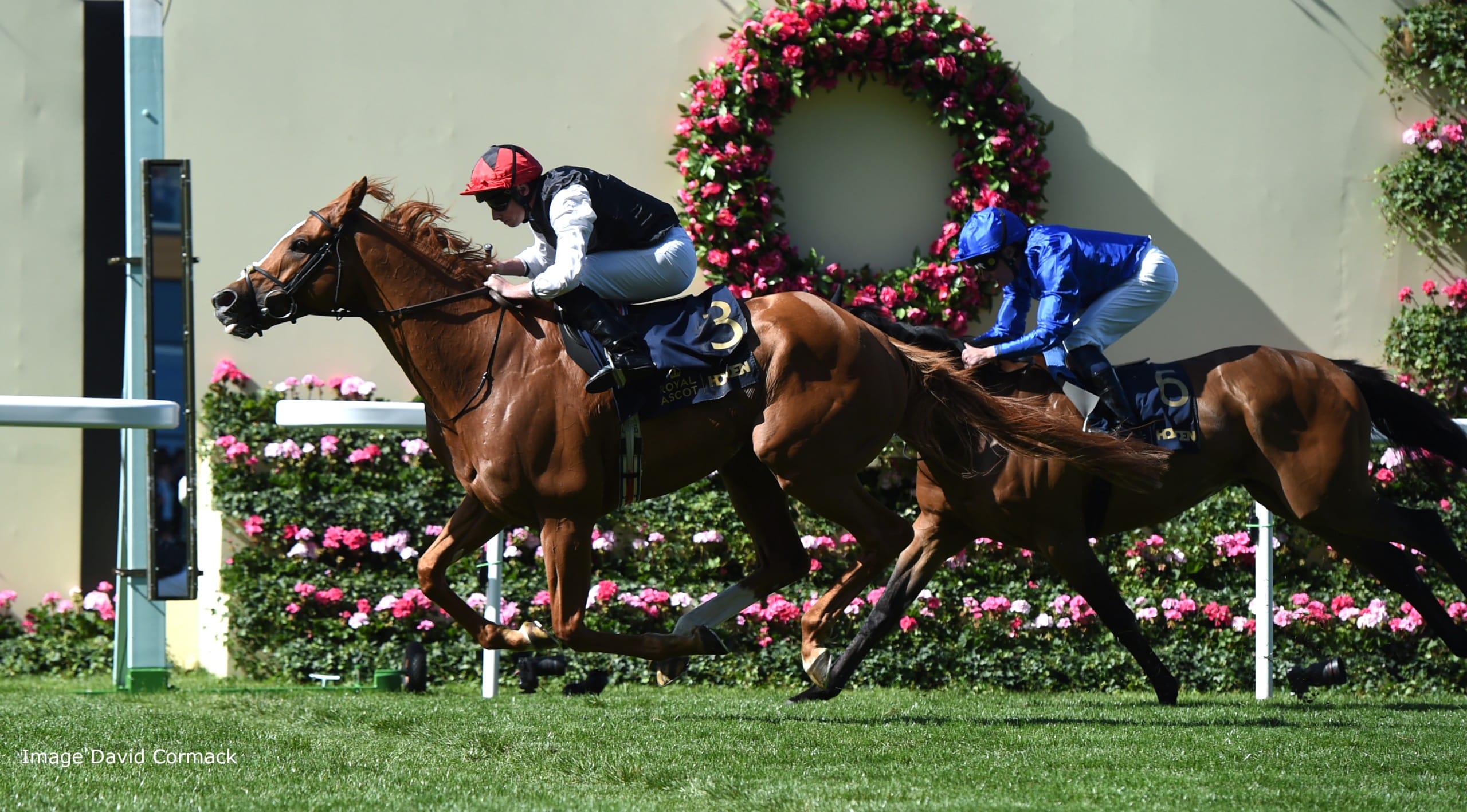 Racehorse Syndicate Ownership — A Deep Dive Into Sharing the Dream of the Track